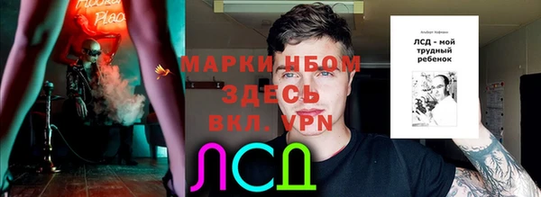 амф Дмитриев