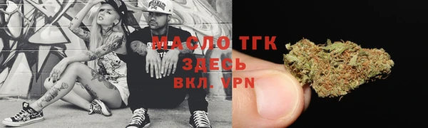 твердый Гусь-Хрустальный