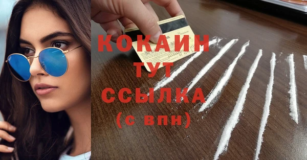 амф Дмитриев