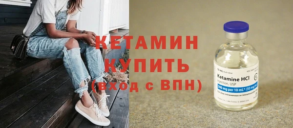 амф Дмитриев